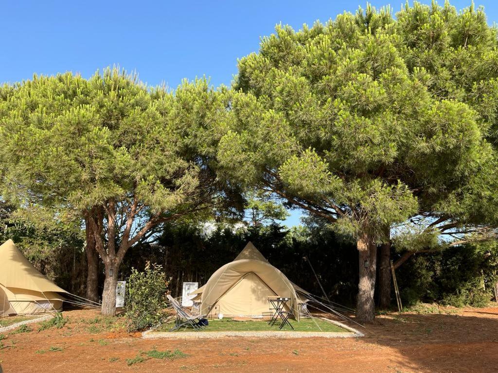 Отель Glamping La Mimosa Conil Кониль-де-ла-Фронтера Экстерьер фото