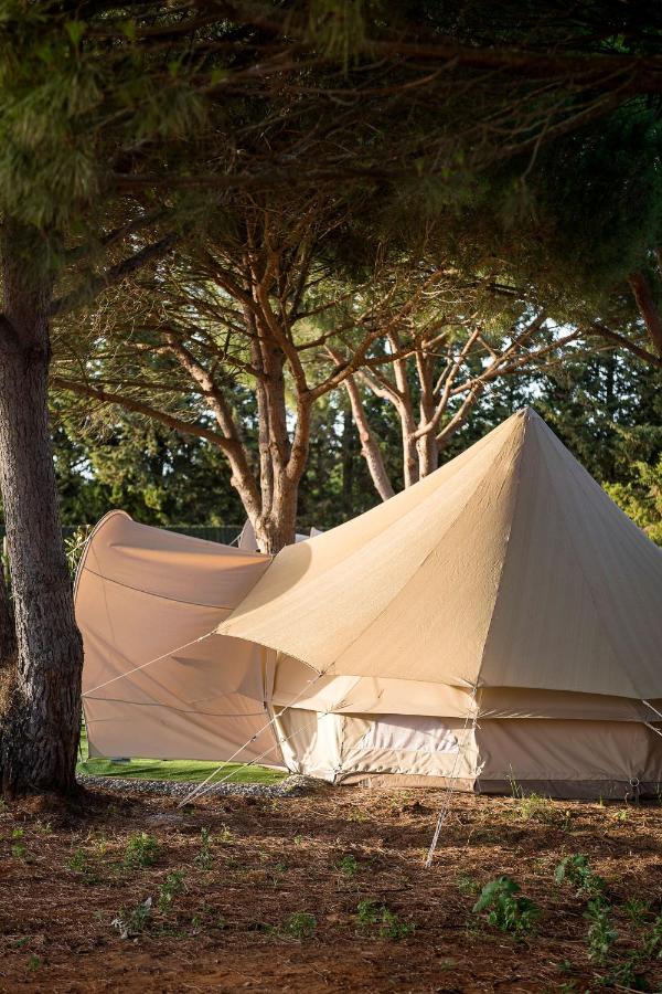 Отель Glamping La Mimosa Conil Кониль-де-ла-Фронтера Экстерьер фото
